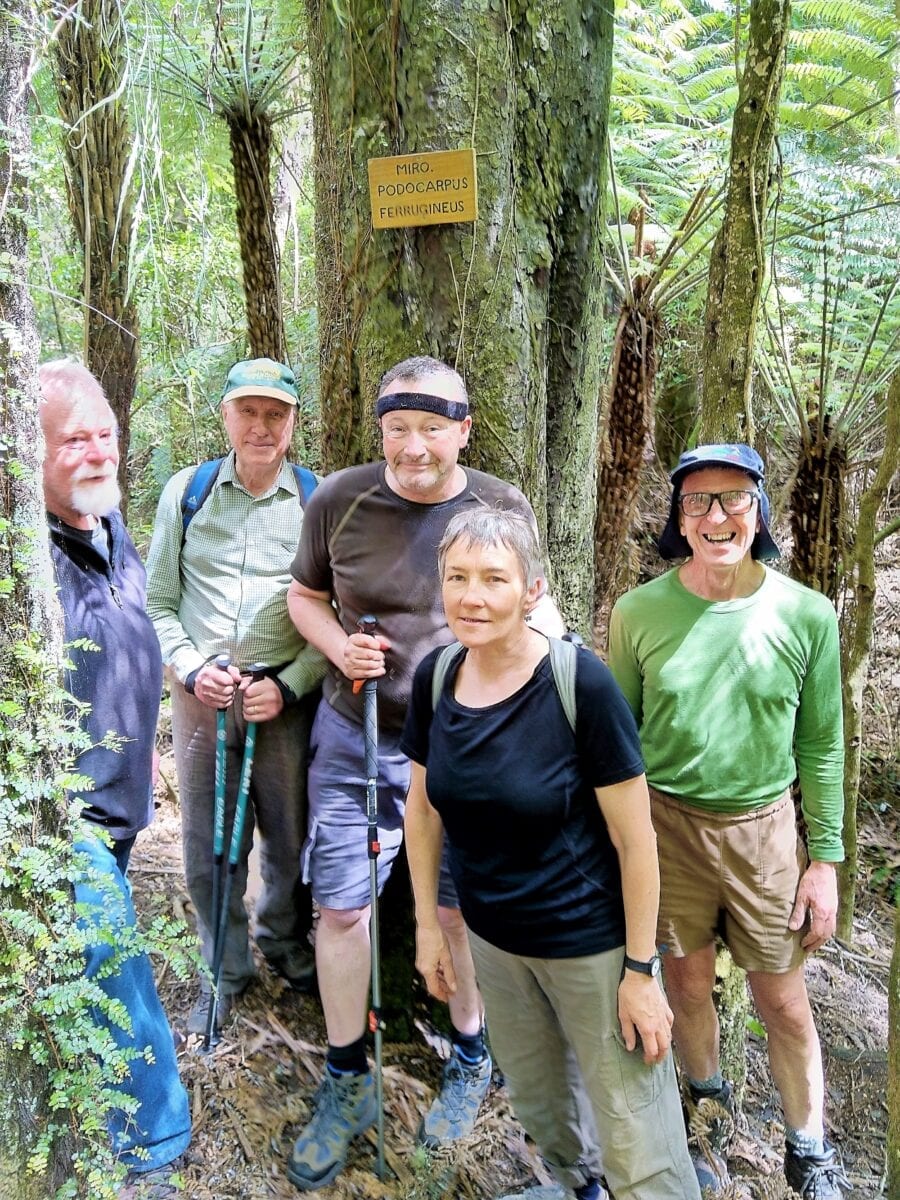 Sustainable Wairarapa volunteers by a large miro tree in Rewa Bush