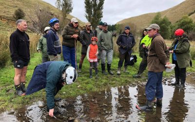 $1.1 million funding boost for farmer-led catchment groups in the Wairarapa