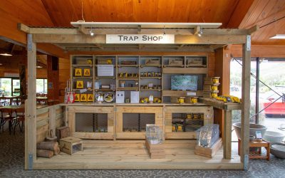 Pūkaha adds a Trap Shop