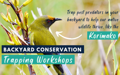 Backyard Conservation Trapping Workshops