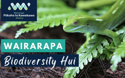 Wairarapa Biodiversity Hui